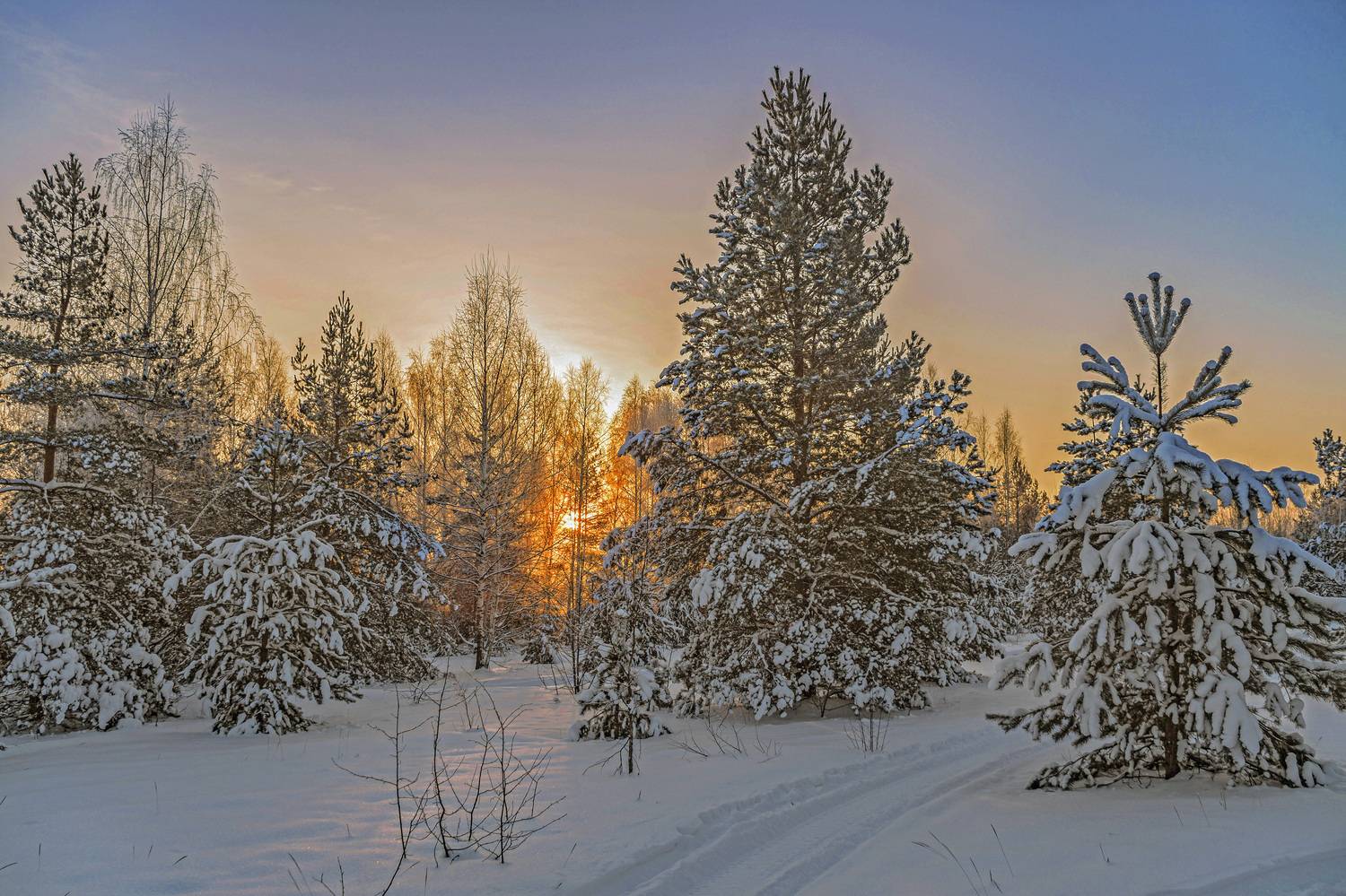 , Шитов Александр