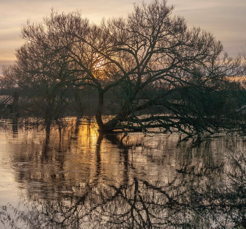 река, рассвет , осень  фото превью