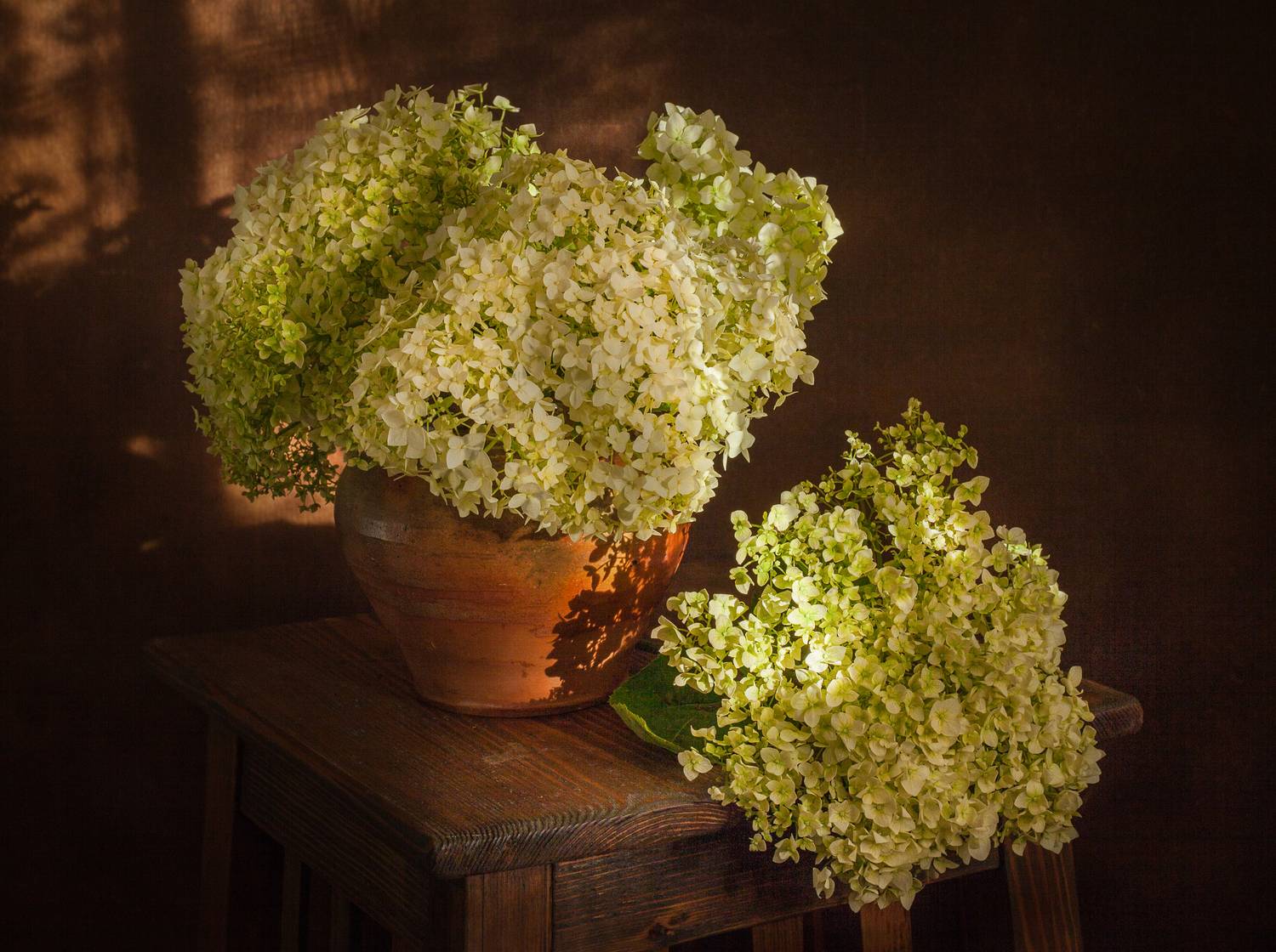 , Хвойнова Елена