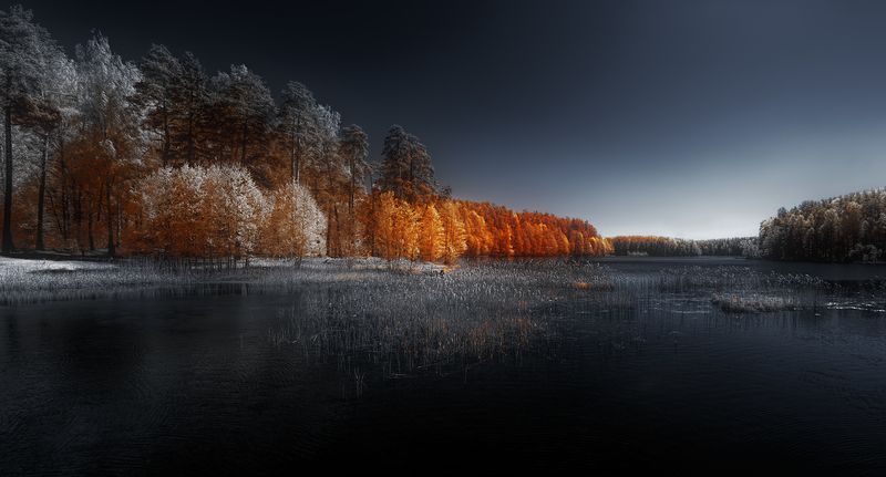 infrared, ик-фото, инфракрасное фото, инфракрасная фотография, пейзаж, весна В акватории весны фото превью