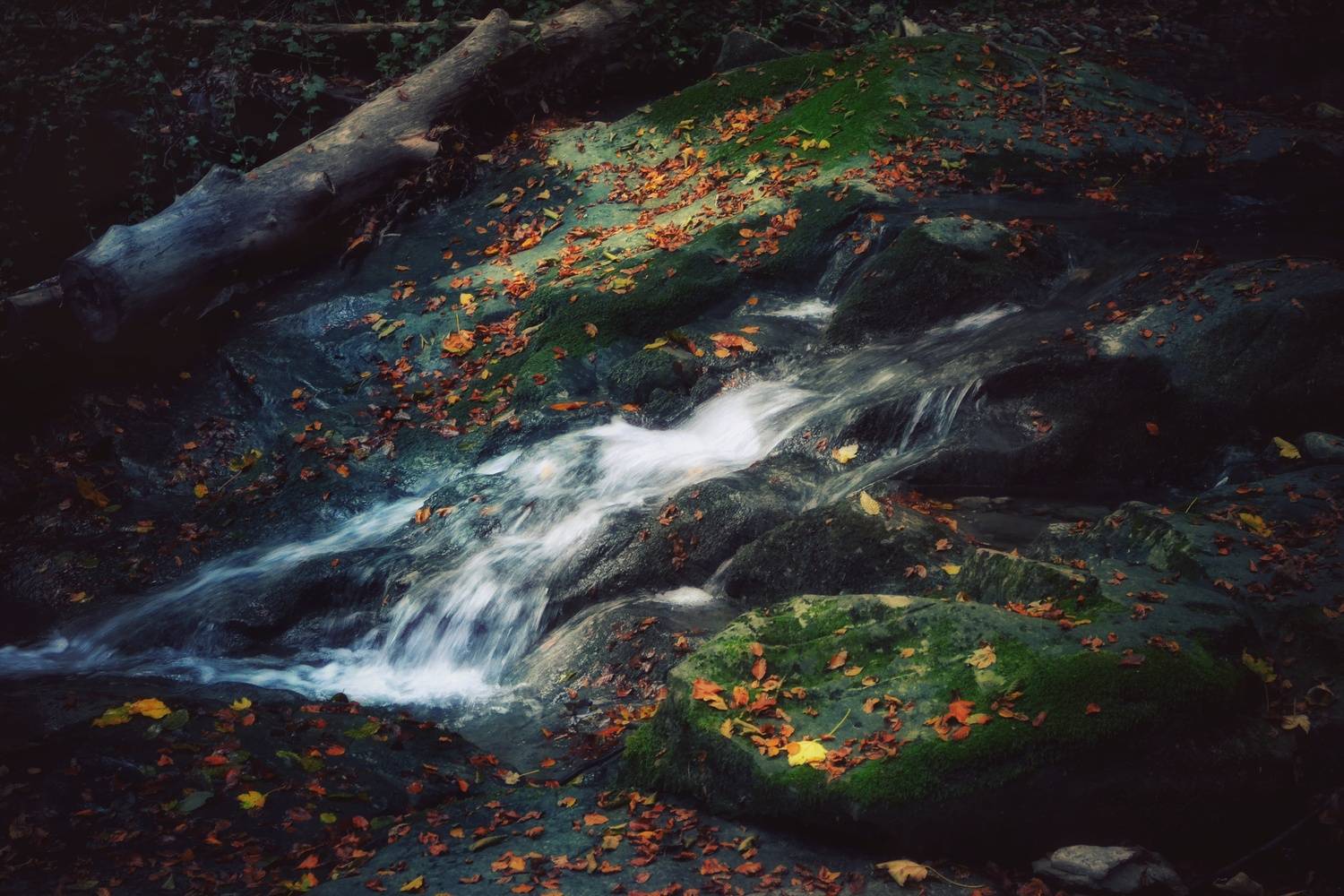 , Юлияна Стоянова