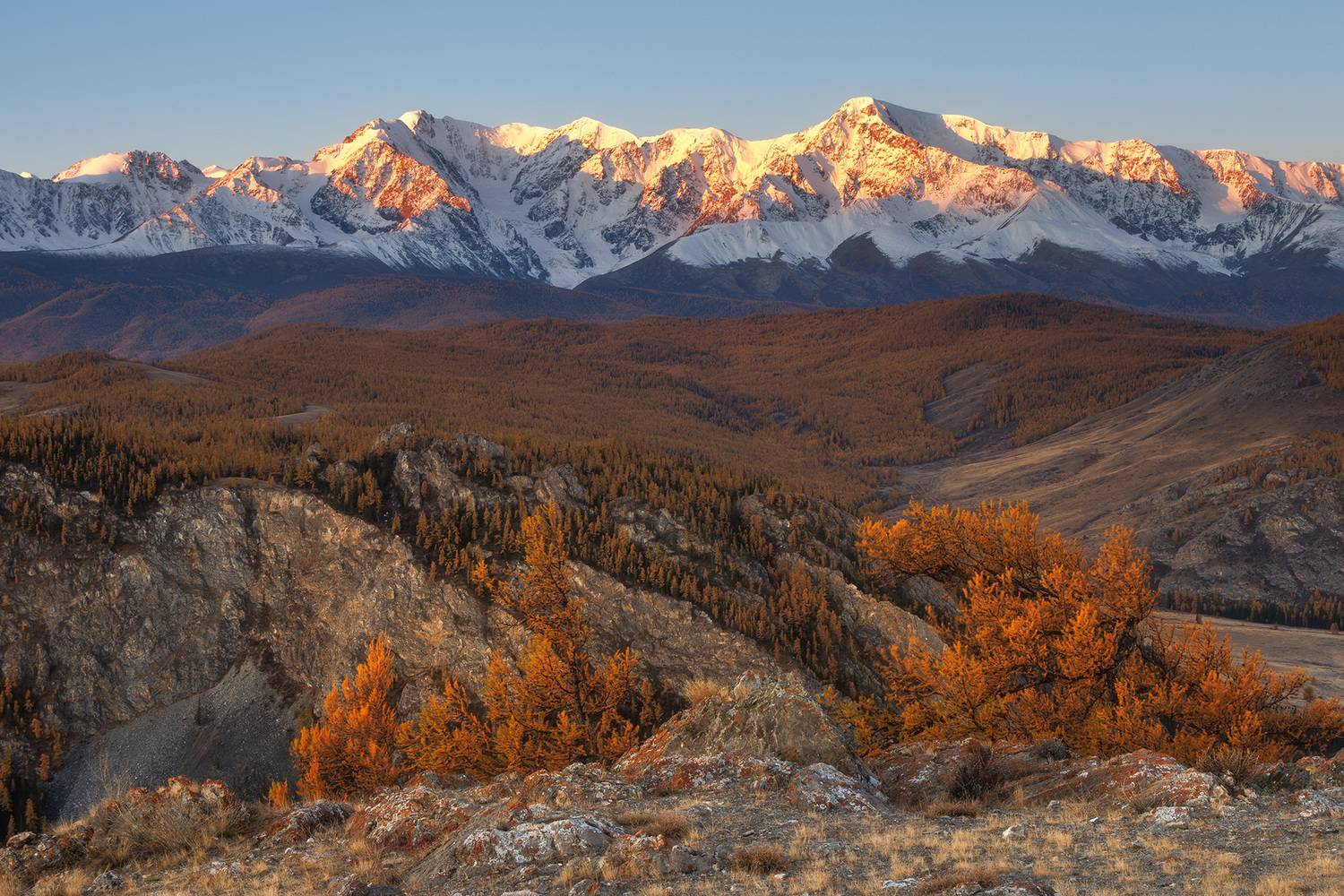 алтай, горный алтай, рассвет, горы, лиственницы, пейзаж, Морозов Сергей