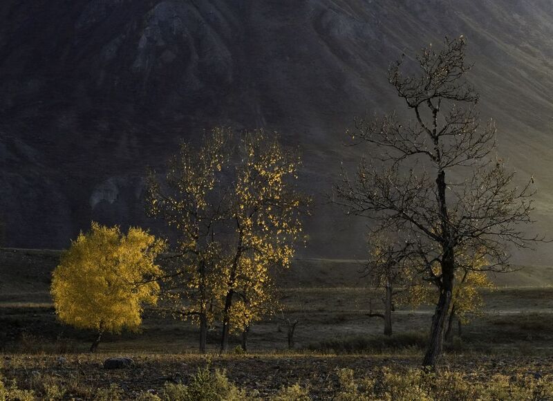 В лучах солнца фото превью
