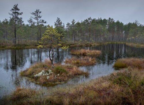 Дождик осенний...