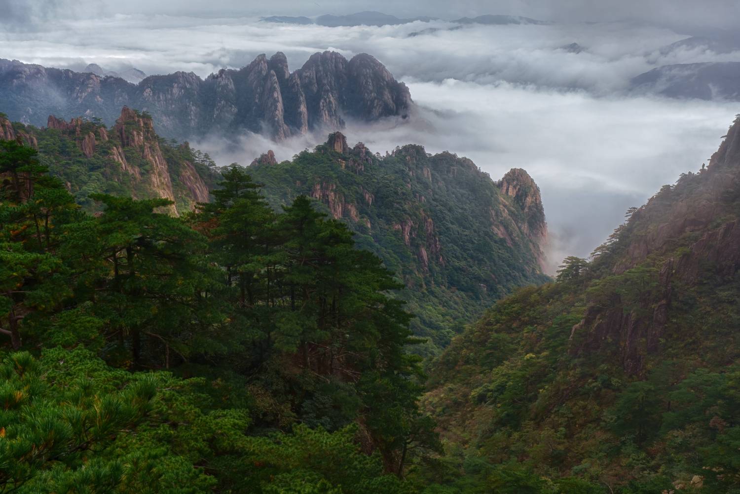 , Евгений Шварцман