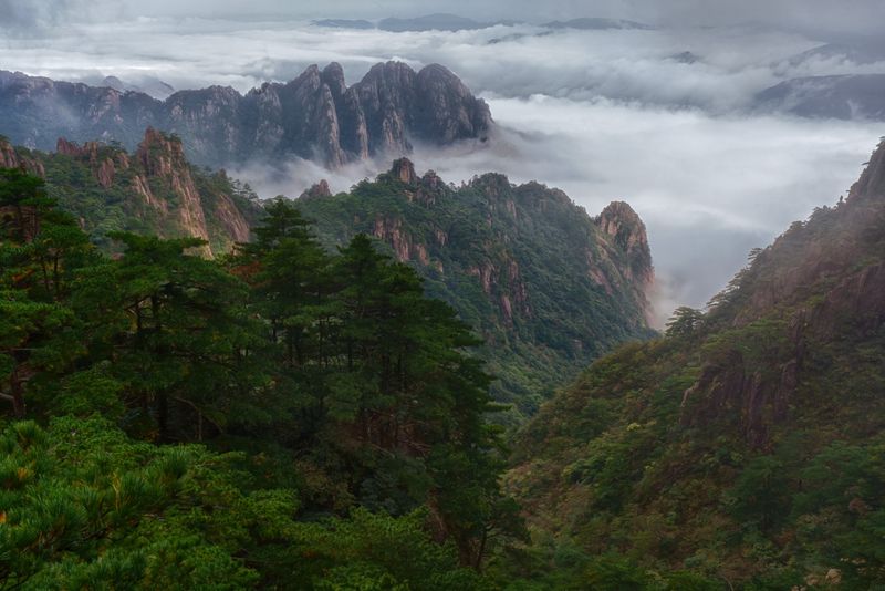 Вид фото превью