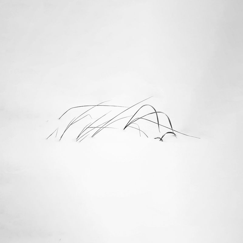 Росчерк зимы фото превью