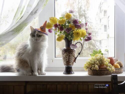 Королева снизошла до фотосессии