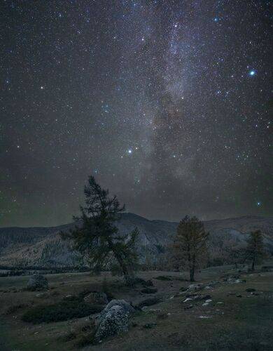 Тайны ночного Алтая.