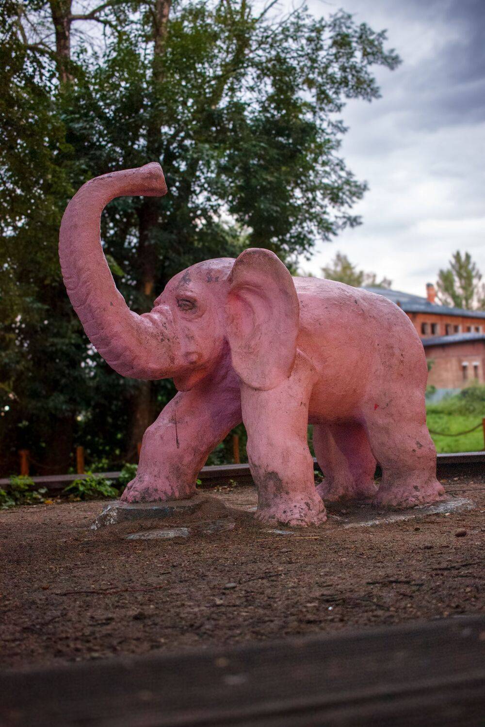 , Сахар Александр