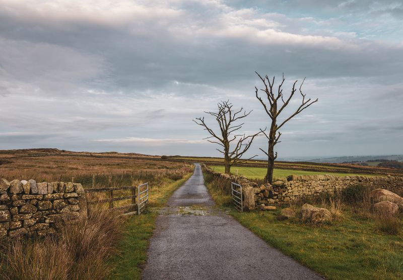 Осенний пейзаж фото превью