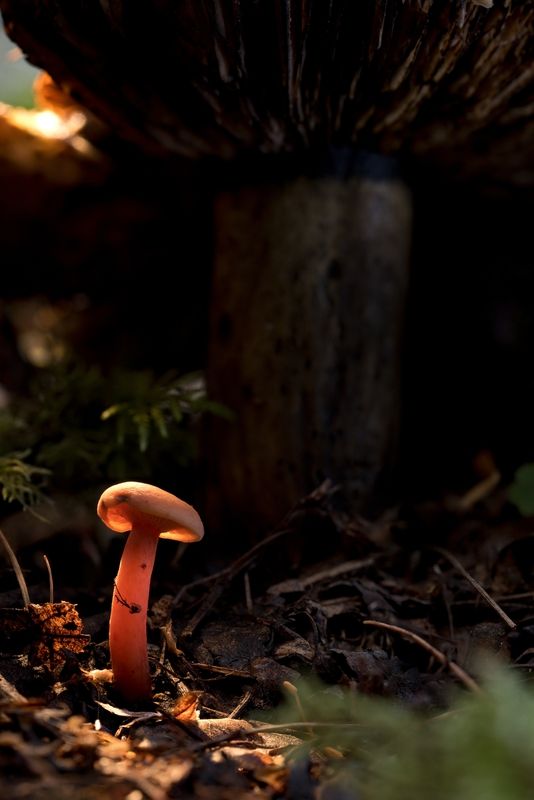 Молодое поколение фото превью