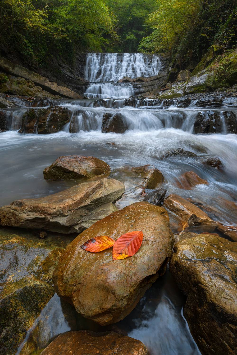 сочи, водопад, река, лес, осень, Растворов Игорь