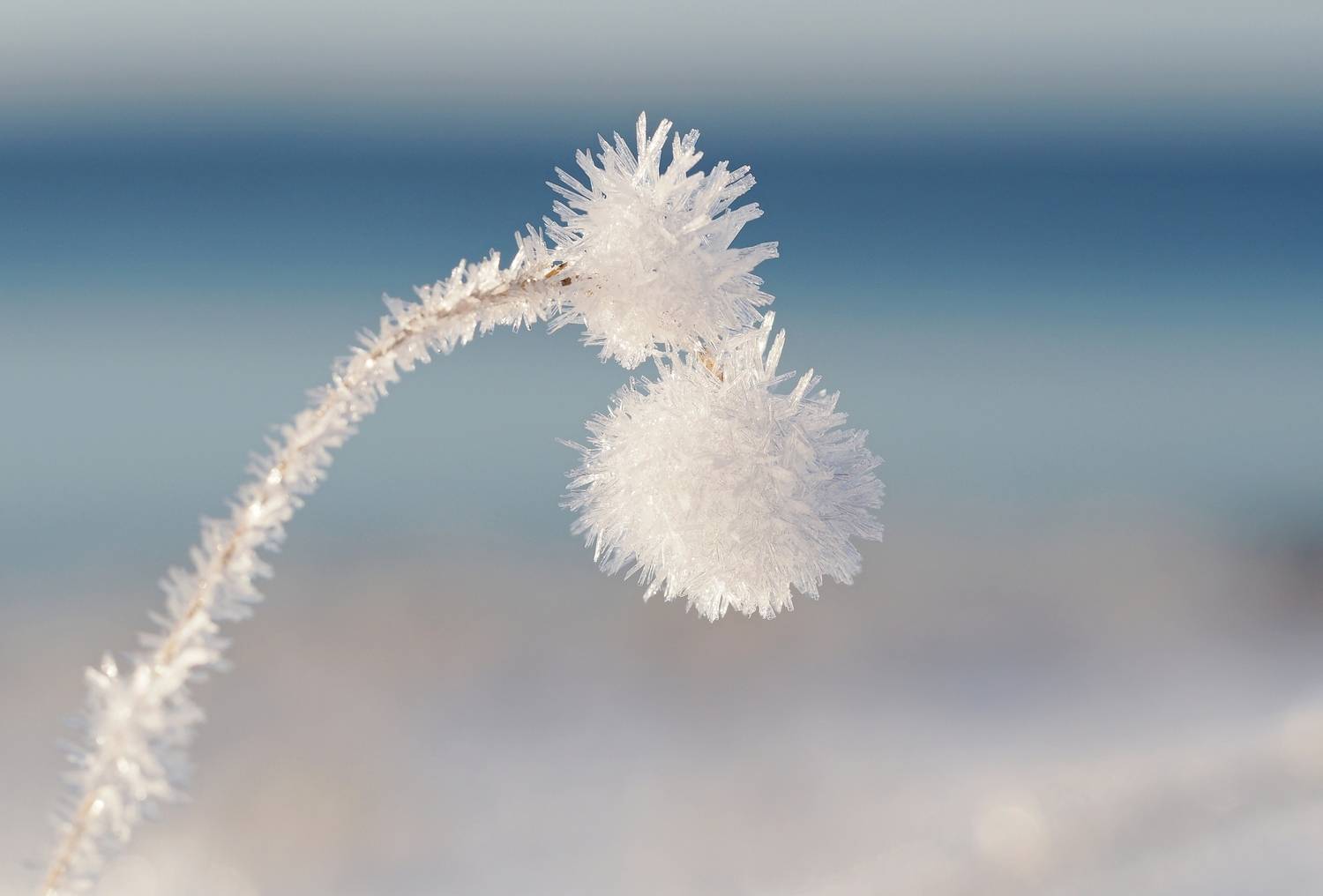 , Евгений Яковлев