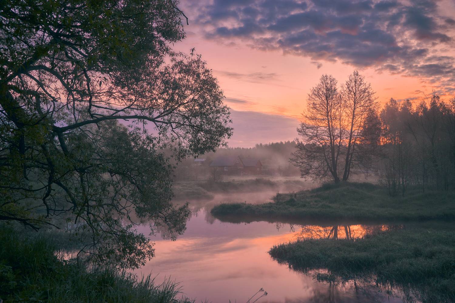 , Роман Лушпа