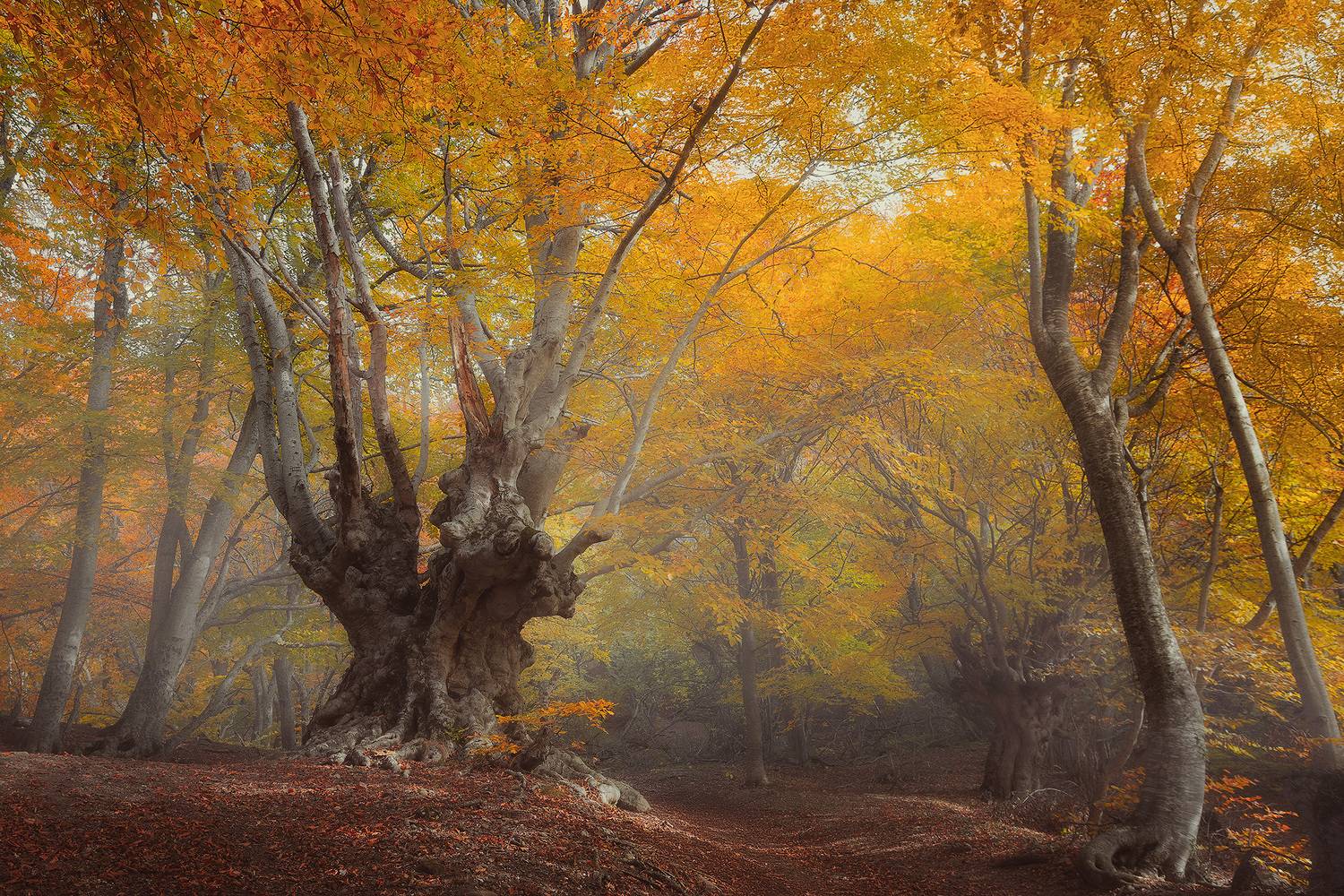 , Костенко Александр