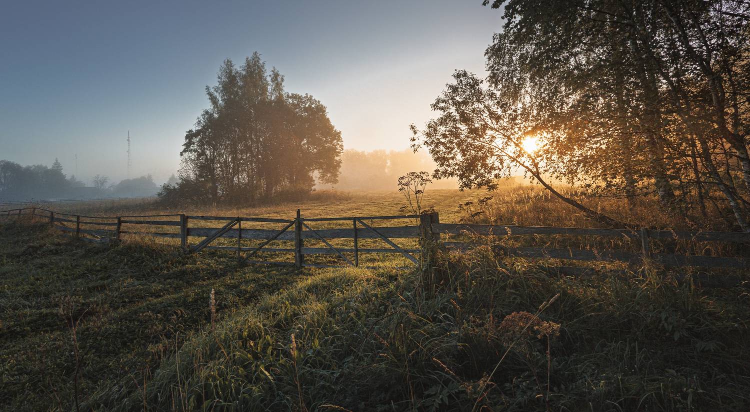 Смоленская обл. Торбеево, Зеленько Дмитрий