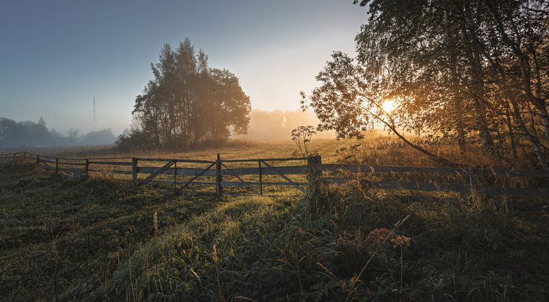 Смоленская обл. Торбеево Туманное утро... фото превью