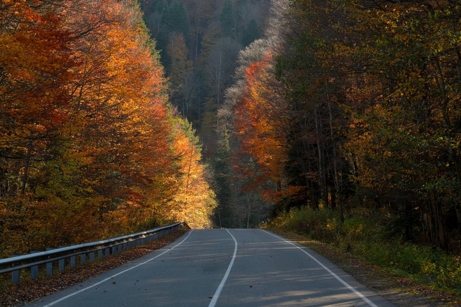 , Сергей Тихомиров