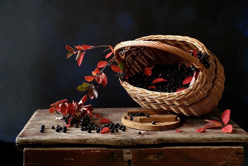Still life, Aronia, Berries, Colors, Autumn, Mood,  Черноплодная рябина фото превью