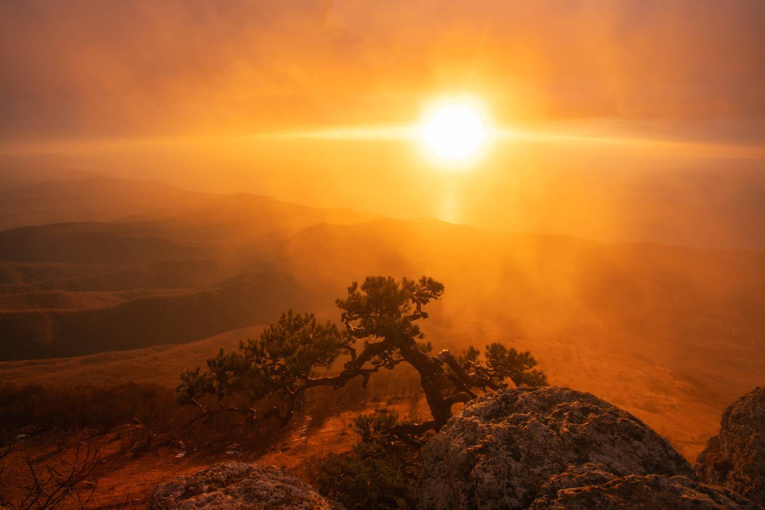 , Юлия Мальцева