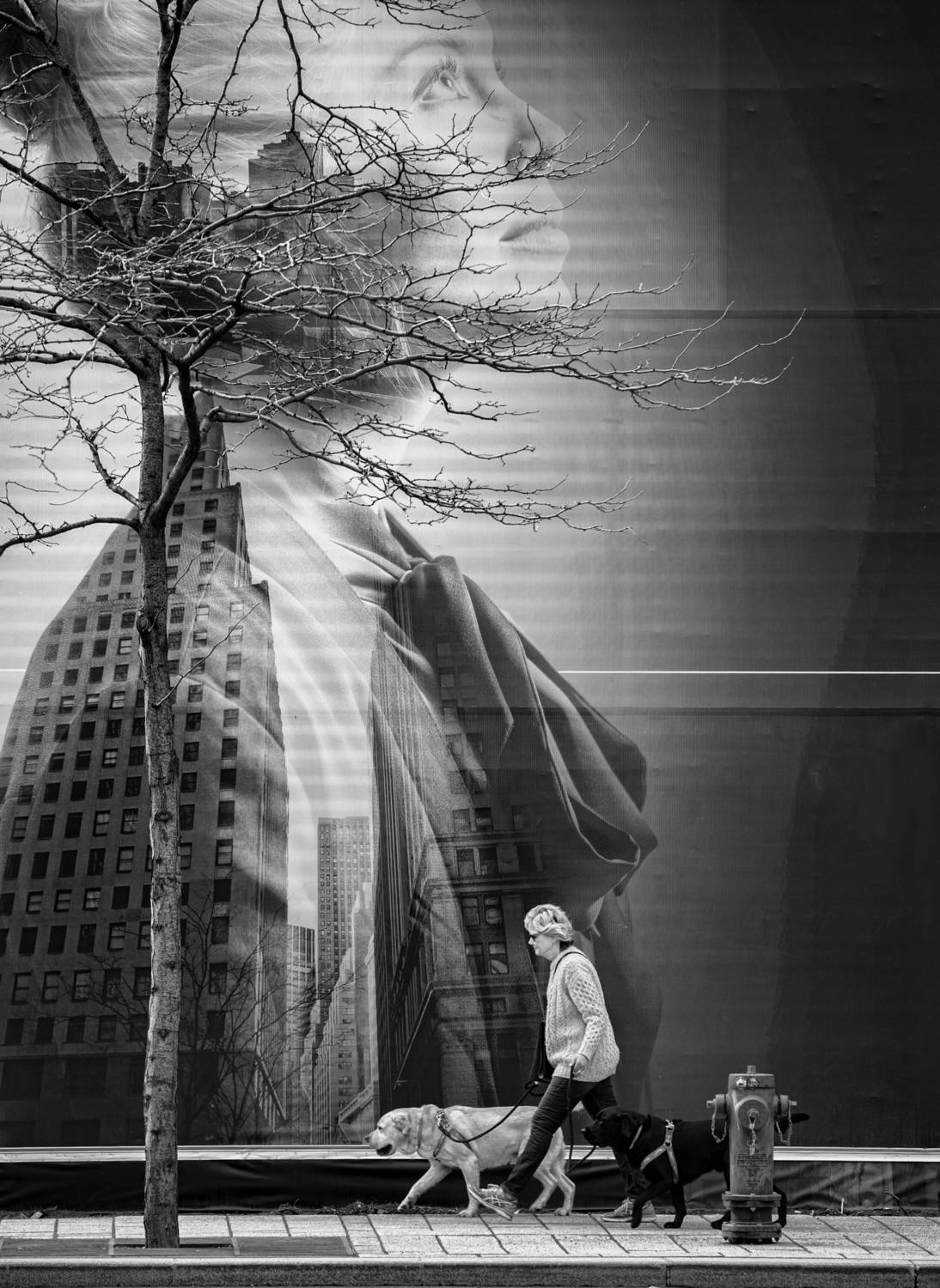 , Ходос Илья