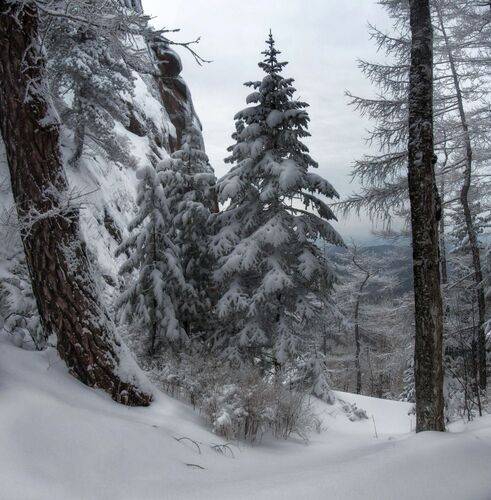 Зима на Столбах