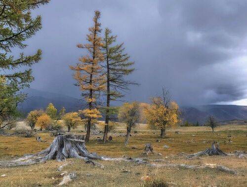 Осенний хоровод