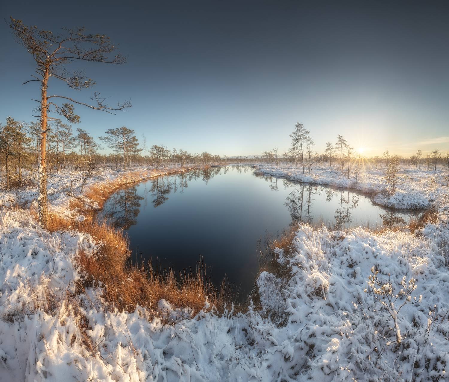 ленобласть, болото, ноябрь, Марголин Алексей