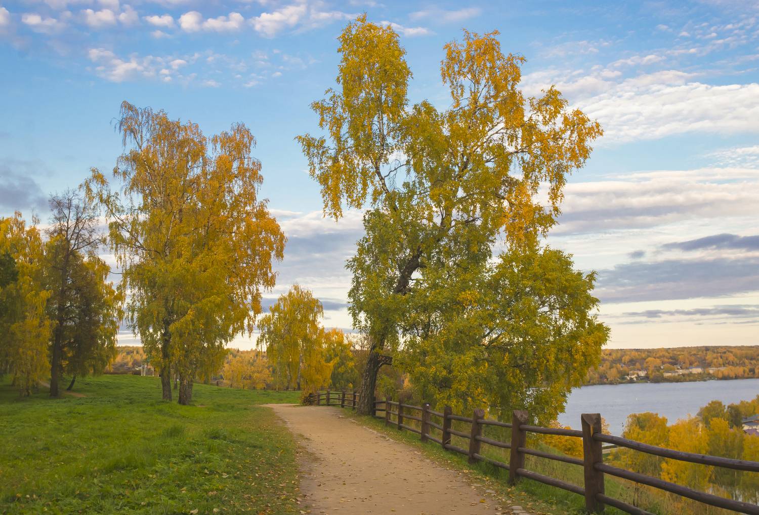 Плес, осень, Соборная гора деревья, галина новинская