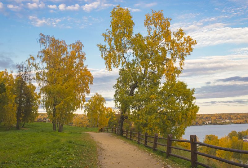 Плес, осень, Соборная гора деревья Осень фото превью