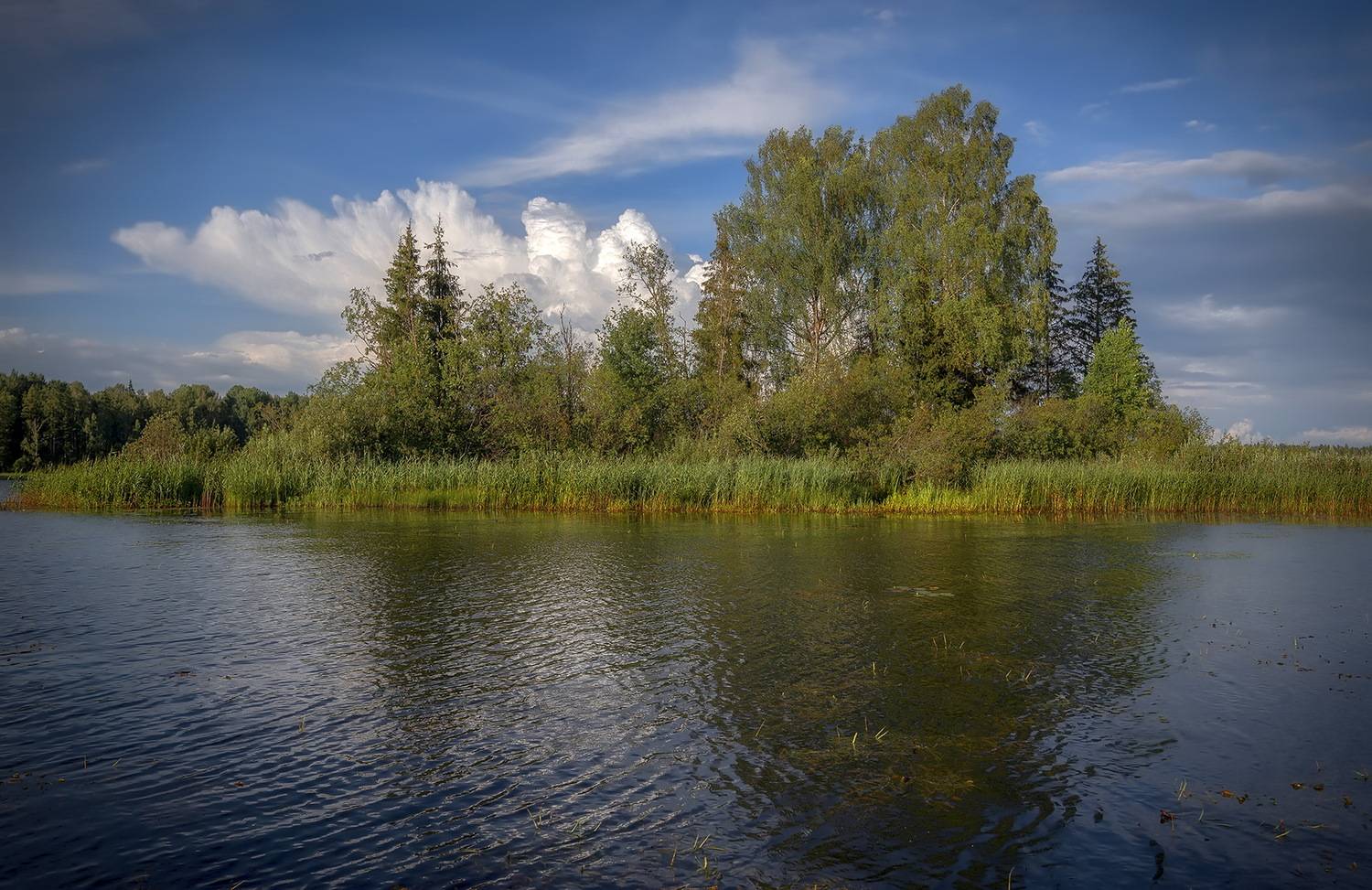 , Сергей Аникин