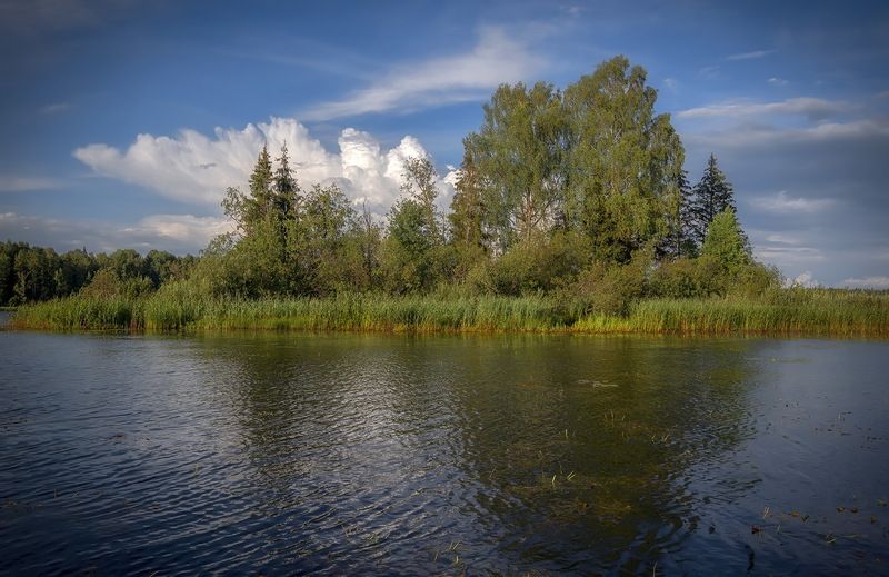 **** фото превью