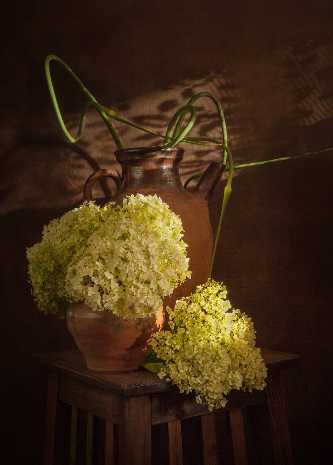 , Хвойнова Елена