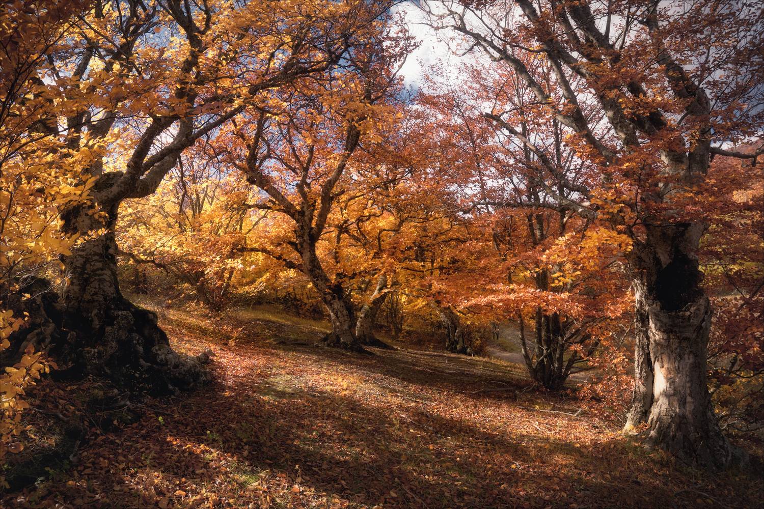 , Богорянов Алексей