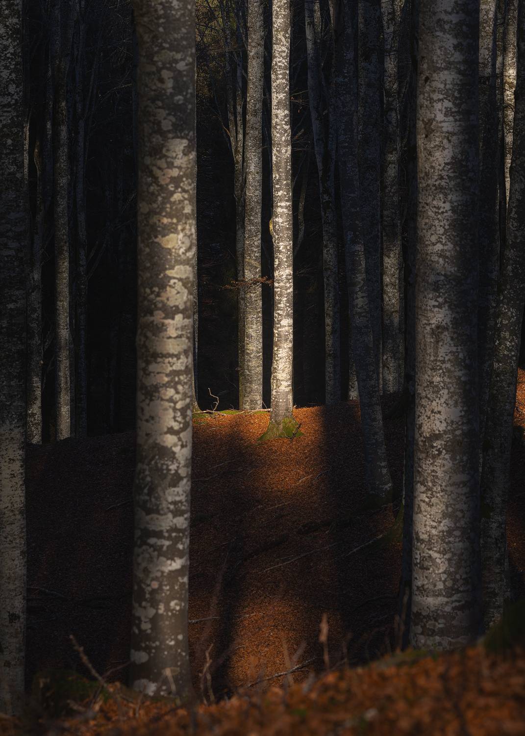 , Быков Сергей