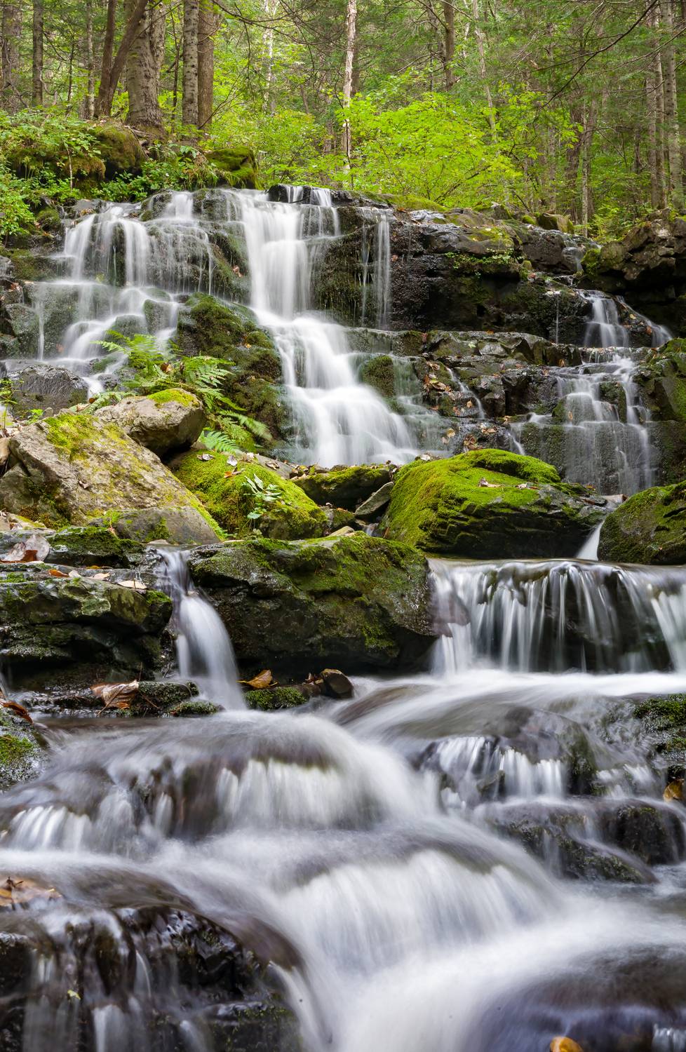 , Виктор Белименко