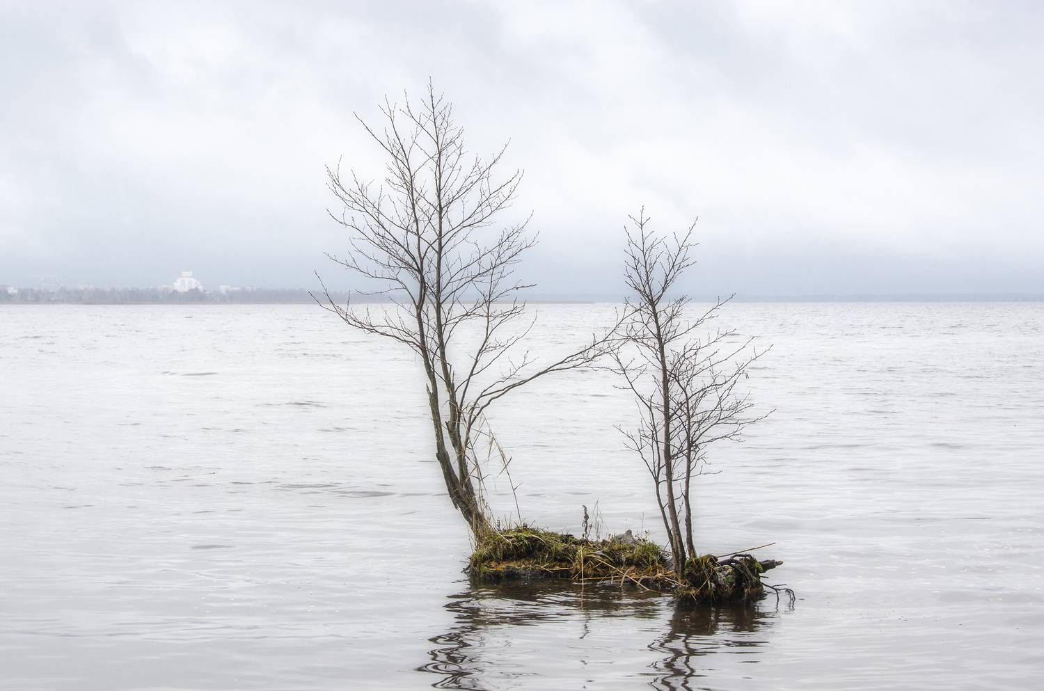 , Алексей Алешин