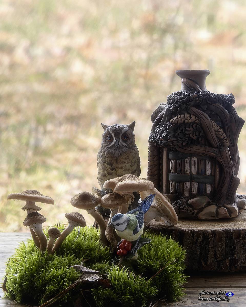 натюрморт, грибы, опята, Приходько Ирина