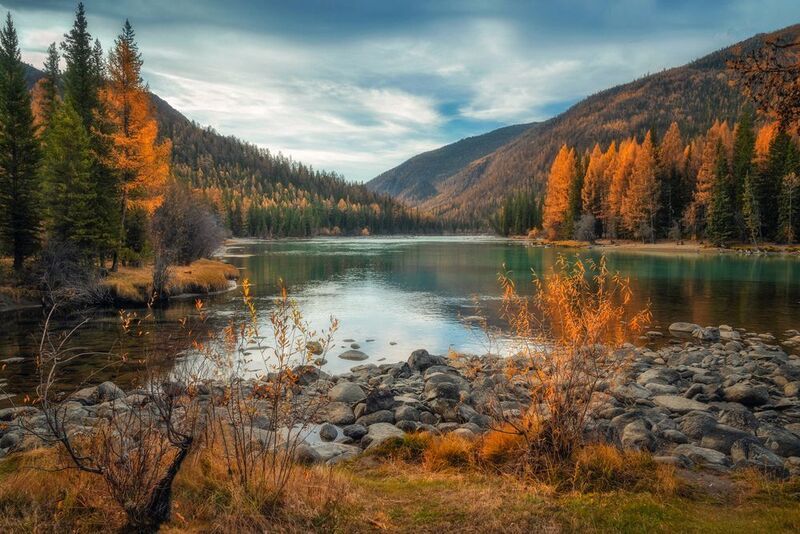 горный алтай, осень, утро, река бара, река аргут Куда приводят мечты... фото превью