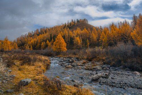Осень золотая