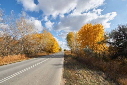 Road to autumn
