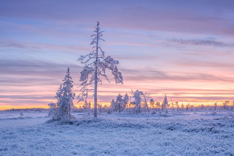 Ноябрьский вечер в Карелии... фото превью