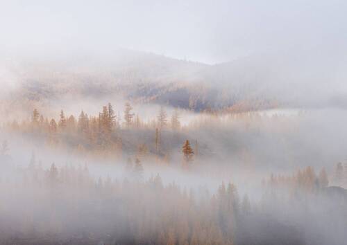 Волшебство тумана.