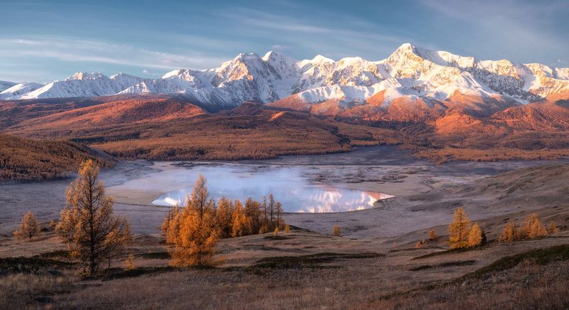 Золото Северо-Чуйских белков фото превью