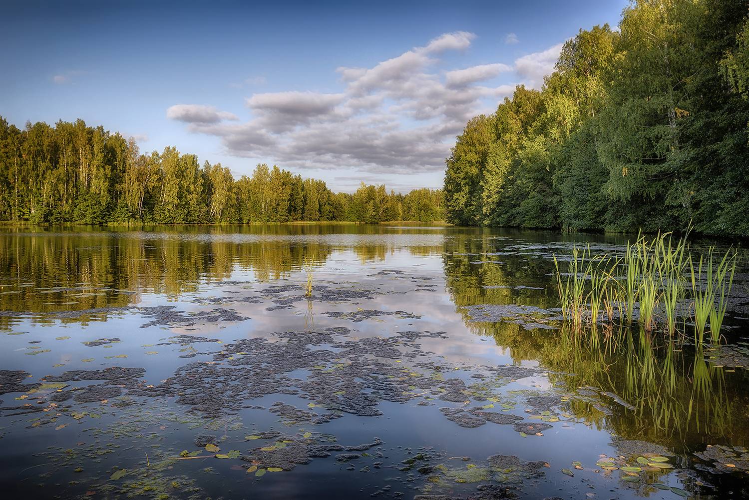 , Сергей Аникин