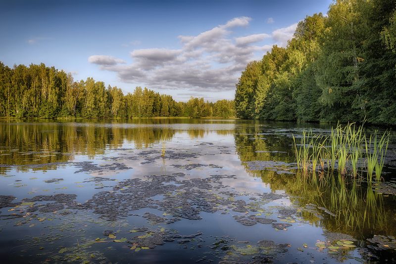 *** фото превью