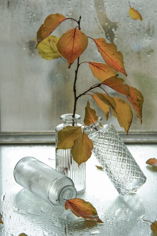 Осеннее настроение  фото превью