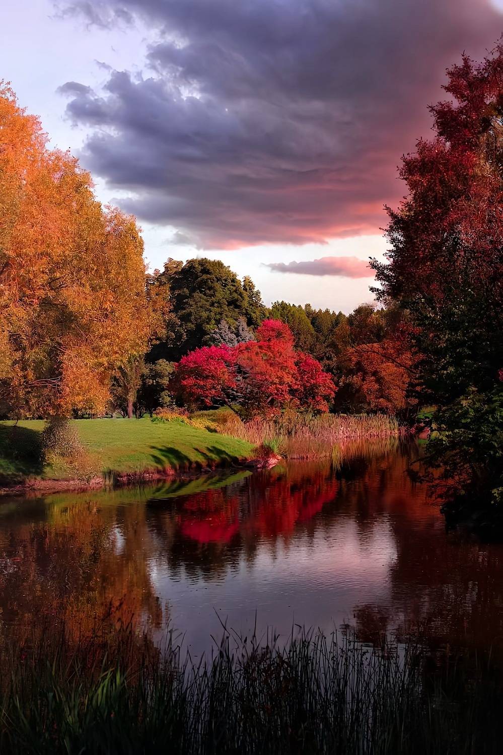 пейзаж, landscape, nature, природа, осень, autumn, золотаяосень, goldatum, закат, sunset, пруд, Julia Kaissa
