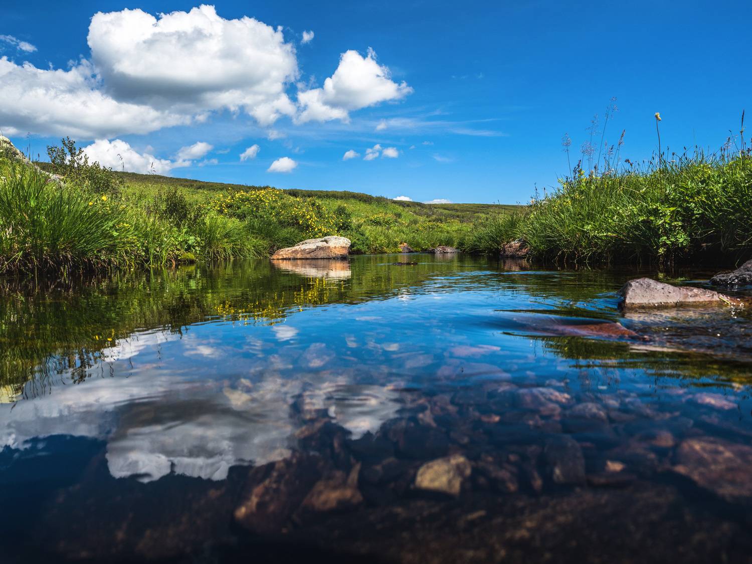 алтай, Станислав